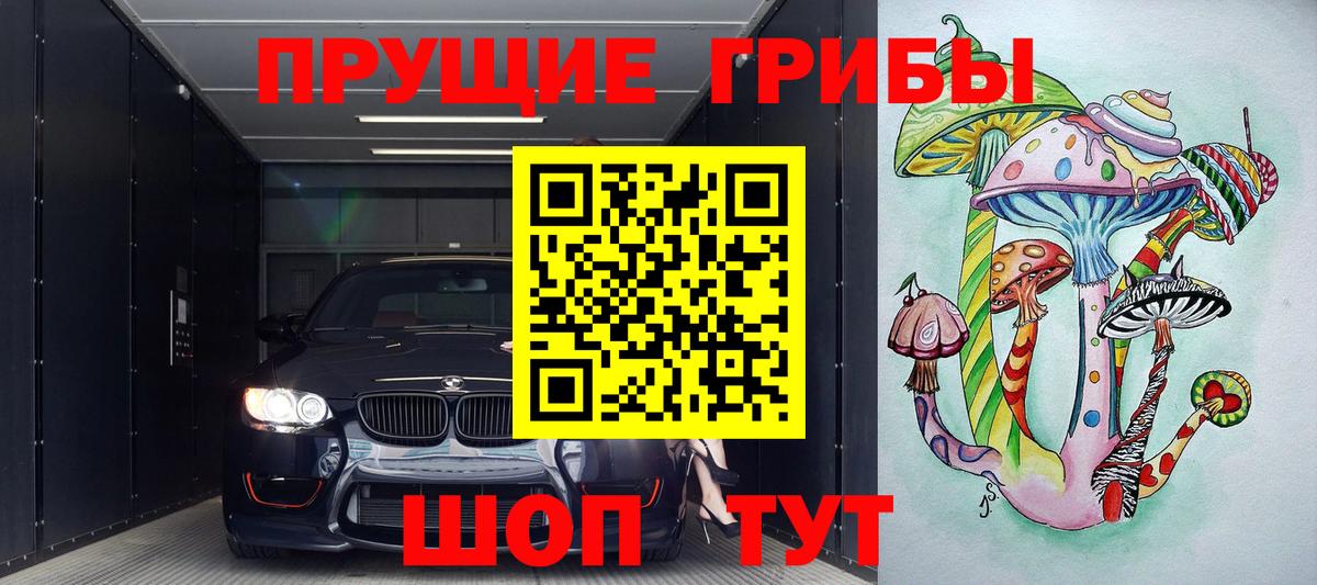 Псилоцибиновые грибы GOLDEN TEACHER  наркота  Галлюциногенные грибы Psilocybe  Ахтубинск  Вход с VPN 